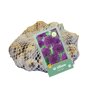 Uienbollen Purple Rain (netzak 40 stuks)